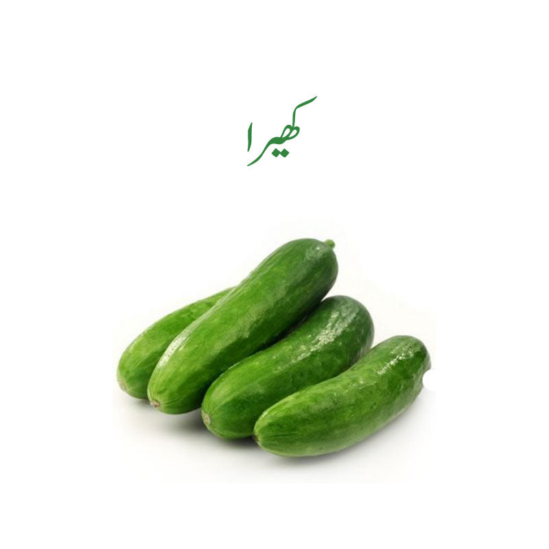 Cucumber (Kheera) -1 Kg