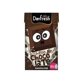 Dayfresh Chocolate Flavored Milk - 125ml