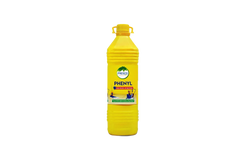 Germi Cure Anti-Bacterial Phenyl 2.75Ltr