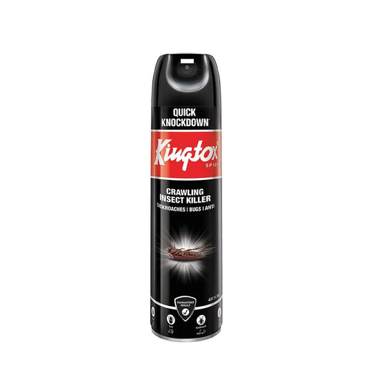 Kingtox All Insect Killer Black 400 Ml