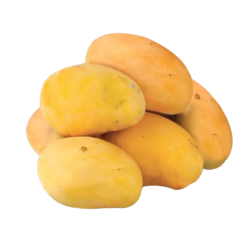 Mango Sindhiri 1kg