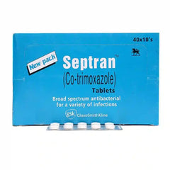SEPTRAN TABLETS 10S  400S