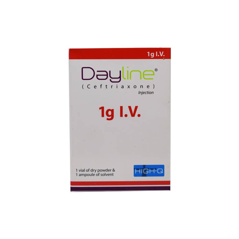 DAYLINE 1GM IV  INJ
