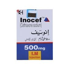 INOCEF 500MG INJ – QnE