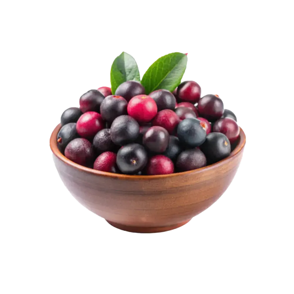 Phalsa (Falsa) Half Kg