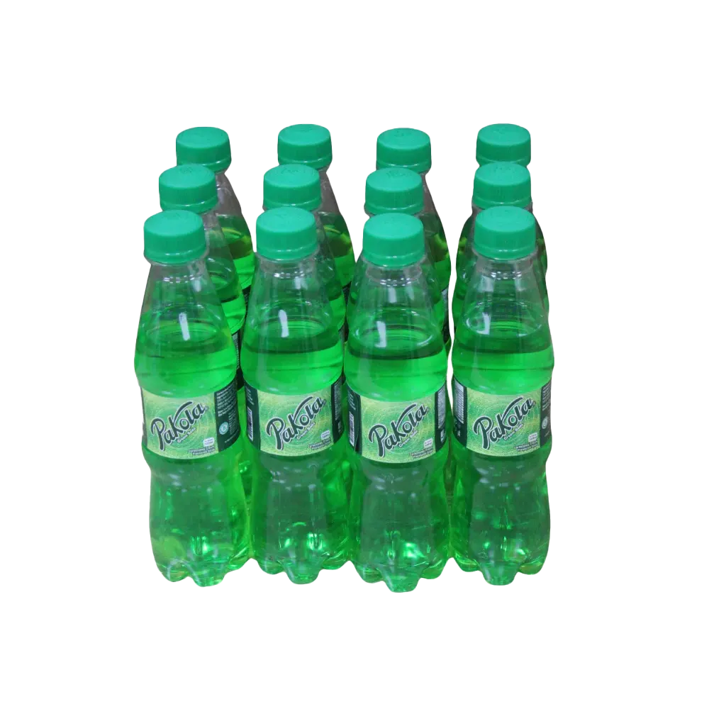 Pakola Pure Drinking Water 300 ml 12-Pcs Case