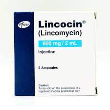LINCOCIN 600MG/2ML [AMP]