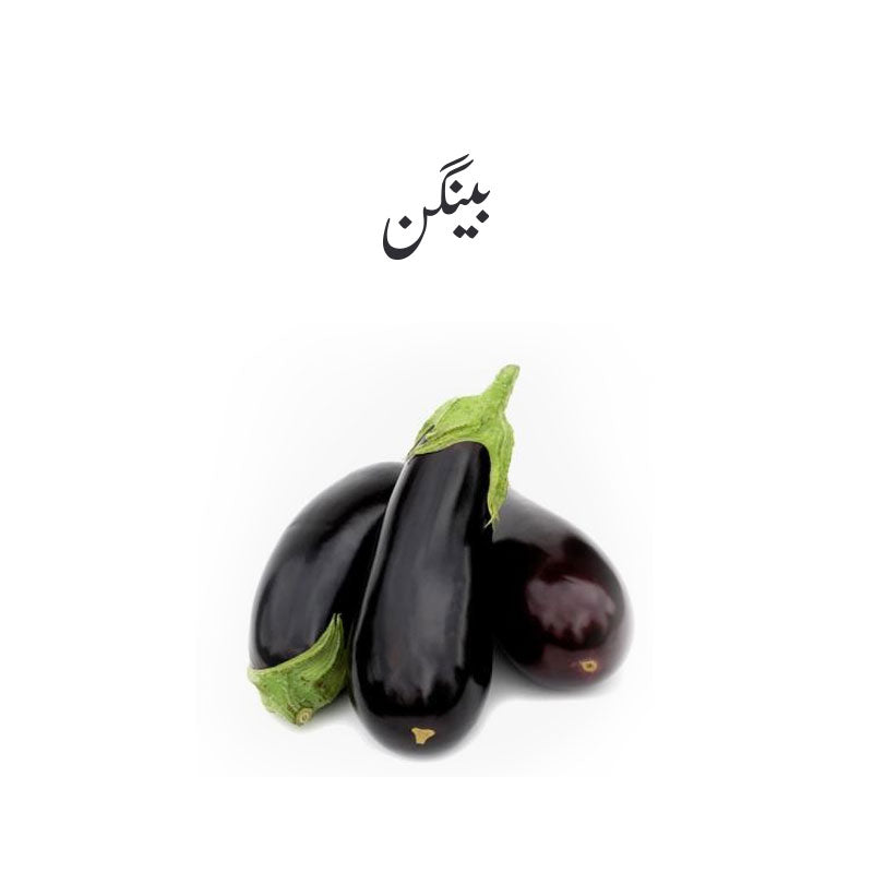 Eggplant (Baingan) - 1 Kg