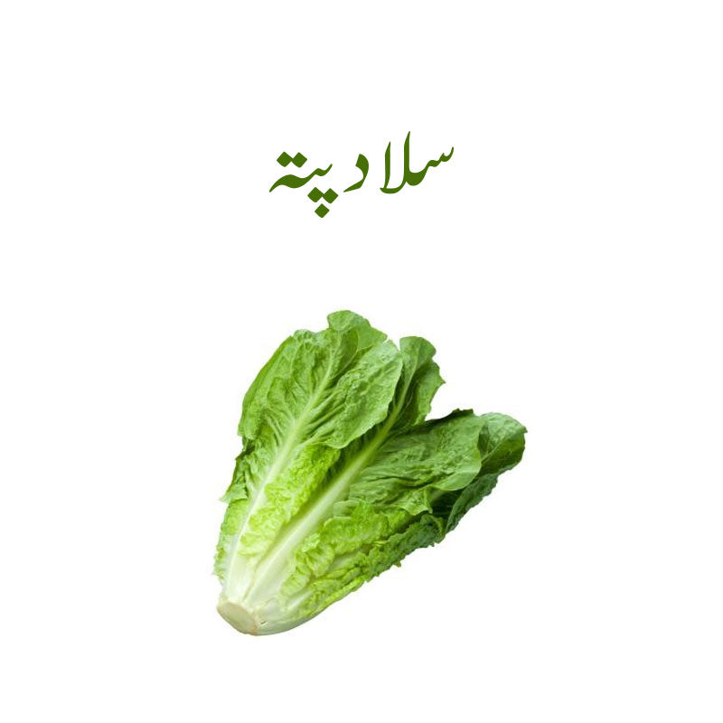 Lettuce (Salad Patta) Subziphal  - 1 Kg