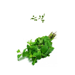 Mint (Phodina) Subziphal  - Per Piece