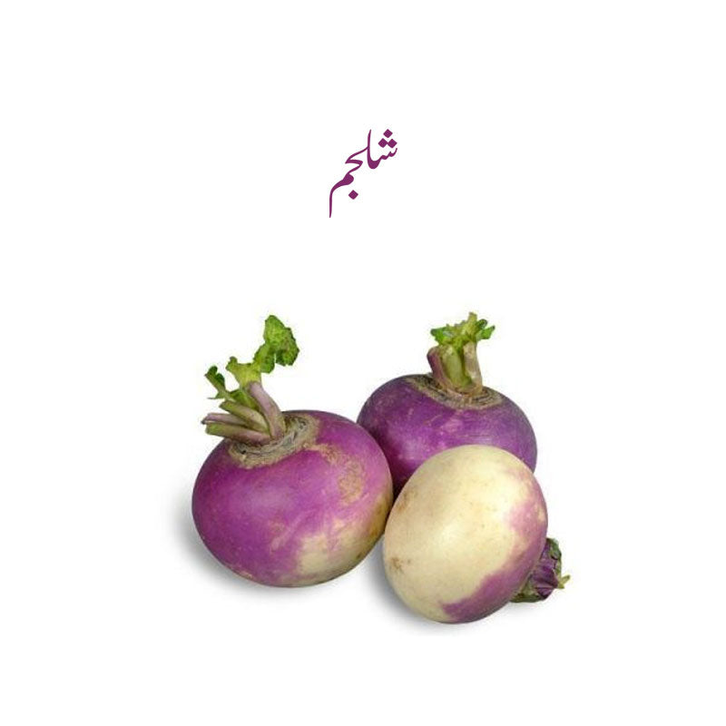 Turnip (Shalgham)  - 1 Qtr