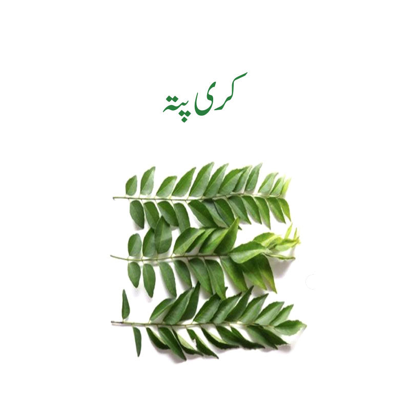 Curry Leaf (Kadi Patta) - Per Piece