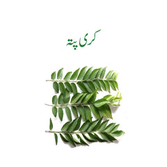 Curry Leaf (Kadi Patta) - Per Piece