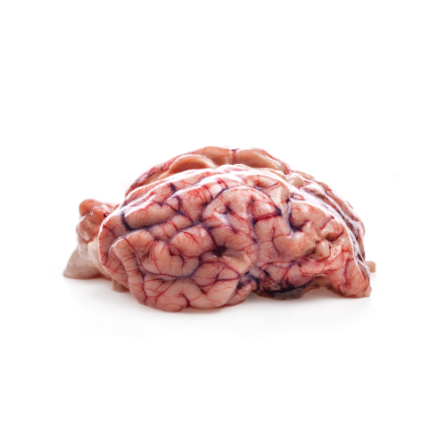 Beef Brain (Maghaz) Per Piece