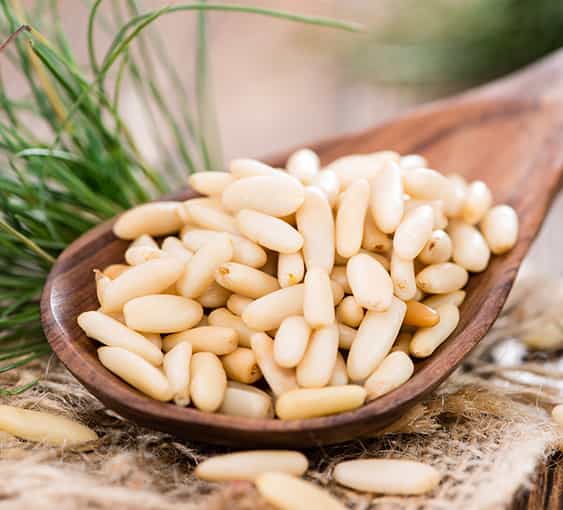Pine Nuts Kernal Roasted (Chilgozey) 500gm